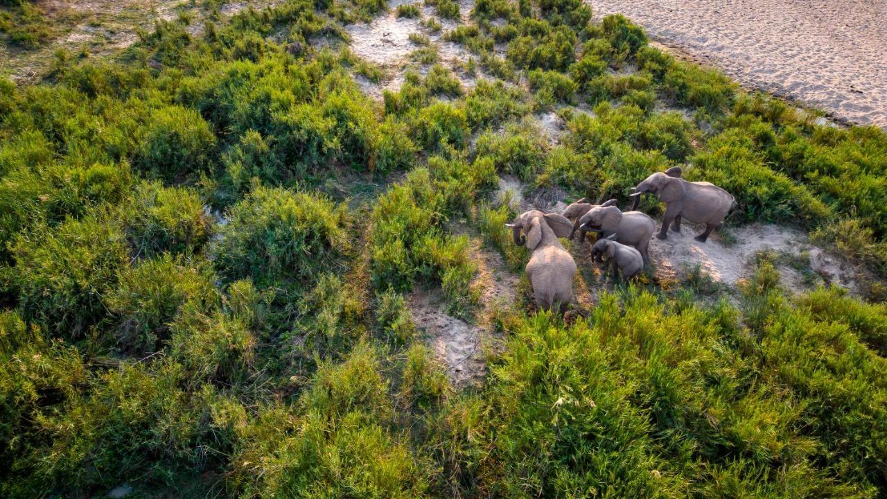 Buckler'S Africa Lodge Kruger Park 科马蒂普特 外观 照片