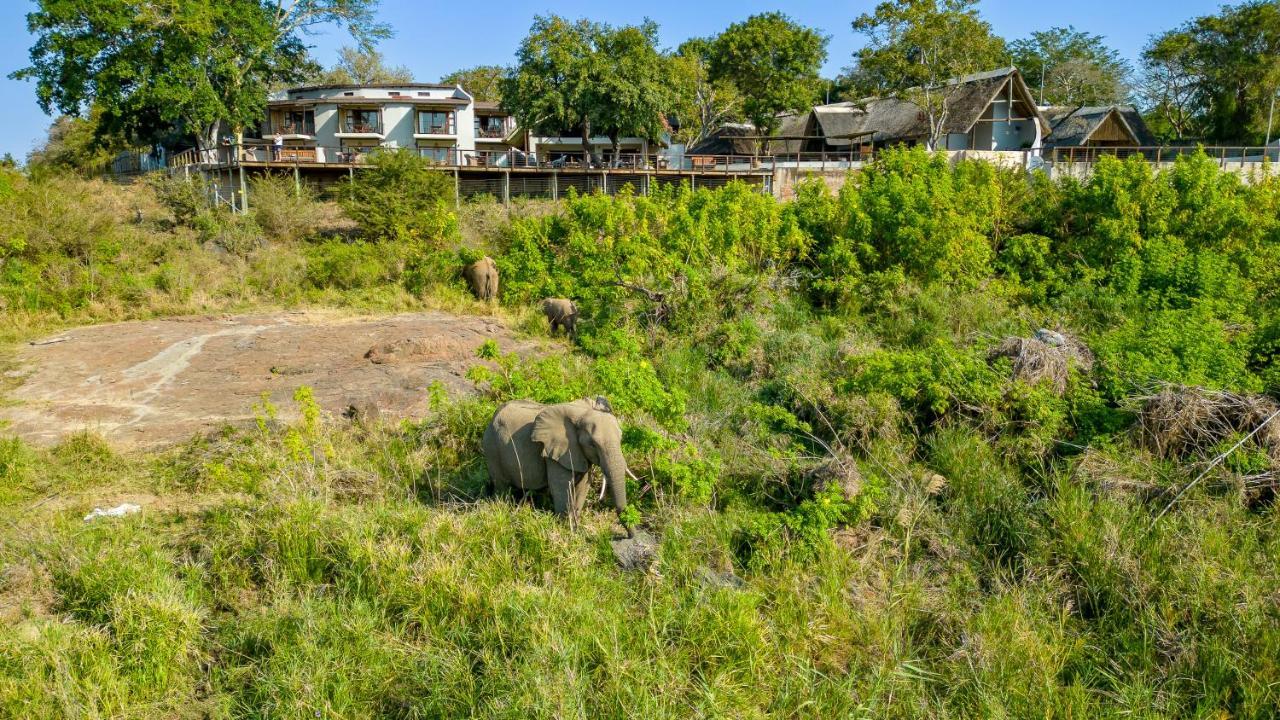 Buckler'S Africa Lodge Kruger Park 科马蒂普特 外观 照片