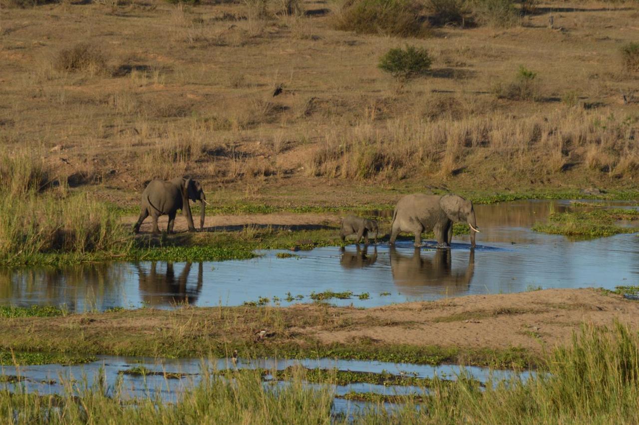 Buckler'S Africa Lodge Kruger Park 科马蒂普特 外观 照片